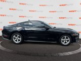 Used 2020 Ford Mustang Coupe image 6