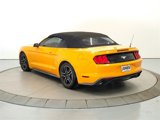 Used 2018 Ford Mustang Premium w/ Equipment Group 201A image 5