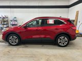 Used 2022 Ford Escape SEL w/ Technology Package image 3