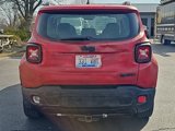Used 2015 Jeep Renegade Sport w/ Power & Air Group image 4