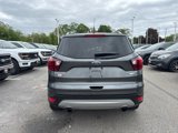 Used 2019 Ford Escape Titanium image 6