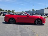 Used 2023 Ford Mustang Premium image 3