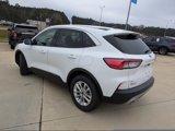 Used 2021 Ford Escape SE image 6