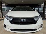 Used 2023 Honda Odyssey Elite image 2