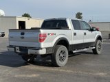 Used 2009 Ford F150 FX4 image 3