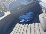 Used 2019 Ford F150 XL w/ Equipment Group 101A Mid image 4