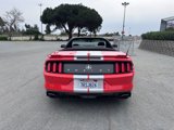 Used 2016 Ford Mustang GT Premium w/ Equipment Group 401A image 3