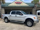 Used 2013 Ford F150 XLT w/ Luxury Equipment Group image 3