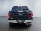 Used 2016 Ford F150 XLT w/ Equipment Group 301A Mid image 4