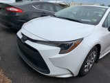 Used 2023 Toyota Corolla LE image 6