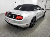 Used 2019 Ford Mustang Premium image 4