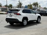 Used 2019 Toyota RAV4 LE image 5