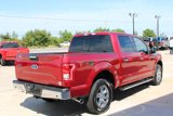 Used 2016 Ford F150 XLT w/ Equipment Group 302A Luxury image 5