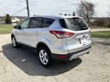 Used 2014 Ford Escape SE image 3
