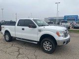 Used 2013 Ford F150 XLT w/ XLT Chrome Pkg image 2