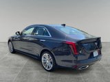 New 2025 Cadillac CT4 Premium Luxury image 3