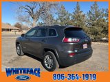 Used 2020 Jeep Cherokee Latitude Plus w/ Cold Weather Group image 4