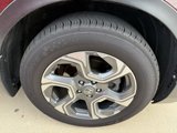 Used 2019 Honda CR-V EX image 3