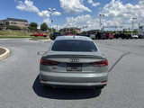 Used 2019 Audi S5 Premium Plus w/ Premium Plus image 4