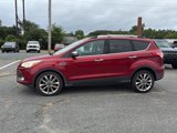 Used 2015 Ford Escape SE w/ SE Chrome Package image 4