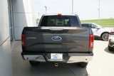 Used 2016 Ford F150 XLT w/ Equipment Group 302A Luxury image 4