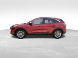 Certified 2022 Ford Escape SE w/ Convenience Package image 3