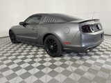 Used 2014 Ford Mustang Coupe w/ Equipment Group 102A image 5