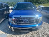 Used 2014 Ford F150 XLT w/ Equipment Group 302A Luxury image 3