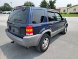 Used 2002 Ford Escape XLT image 5