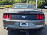 Used 2022 Ford Mustang Premium image 5