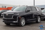 Used 2024 Cadillac Escalade Premium Luxury image 5