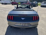 Used 2019 Ford Mustang Premium w/ Equipment Group 201A image 6