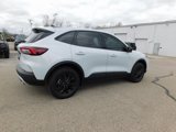 New 2025 Ford Escape Active image 3