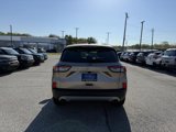 Certified 2020 Ford Escape SE image 4