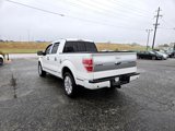 Used 2014 Ford F150 Platinum image 5