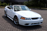 Used 1999 Ford Mustang Cobra image 5