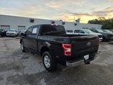 Used 2020 Ford F150 XLT w/ Equipment Group 301A Mid image 4