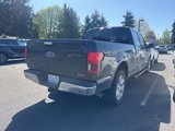 Used 2019 Ford F150 XLT w/ Equipment Group 302A Luxury image 3