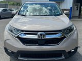 Used 2019 Honda CR-V EX image 2