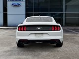 Certified 2022 Ford Mustang Coupe w/ Equipment Group 101A image 5