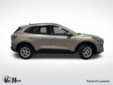 Used 2020 Ford Escape Titanium image 2