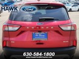 Certified 2022 Ford Escape SE w/ Convenience Package image 5