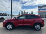 New 2025 Ford Escape Active w/ Active Premium Tech Pack image 3
