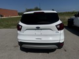 Certified 2019 Ford Escape SEL image 6