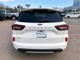 Used 2024 Ford Escape ST-Line w/ Tech Pack #1 image 4