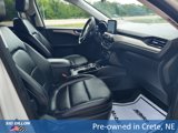 Used 2021 Ford Escape SEL w/ Technology Package image 4