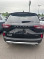 New 2025 Ford Escape Active w/ Active Premium Tech Pack image 5