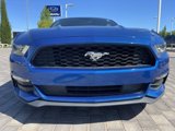 Used 2017 Ford Mustang Coupe w/ Enhanced Security Package image 3
