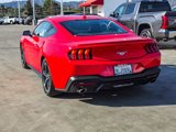 Used 2024 Ford Mustang Premium image 5