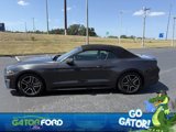 Used 2022 Ford Mustang Premium image 5